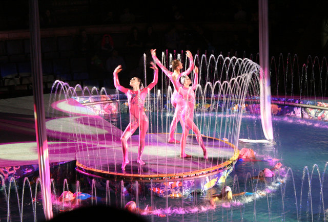 Профессиональные танцоры в цирк на воде. Кастинг от арт-проекта Elysium