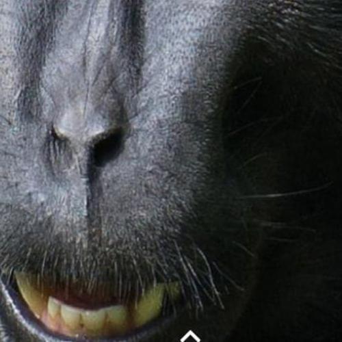 Андрій Іванченко