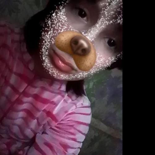 Анна Василевська