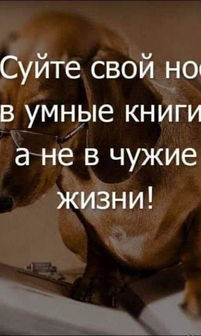 Денис Мисюра